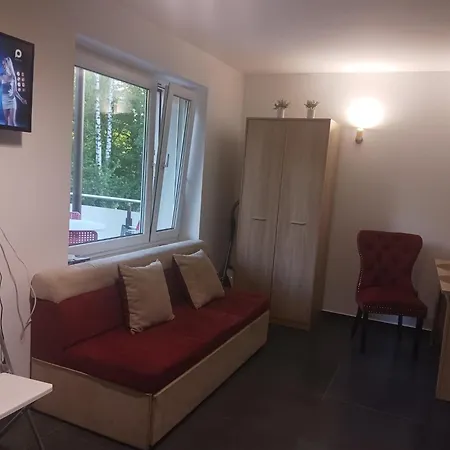 Pietrowice *